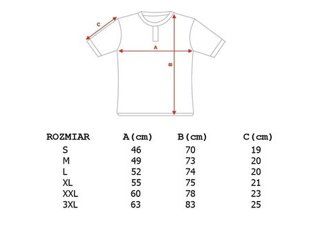 BLACK CAT T-SHIRT ESTABLISHED COLLECTION S