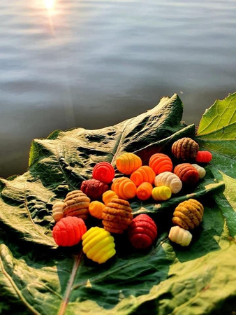 Poczwarki Wafters TRUSKAWKA Baton Baits 