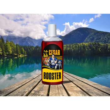 Booster Cesar Invader SQUID - PORZECZKA