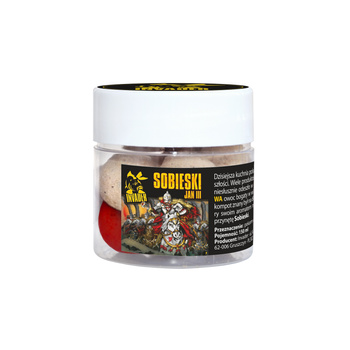 Invader Pop up Sobieski MORWA