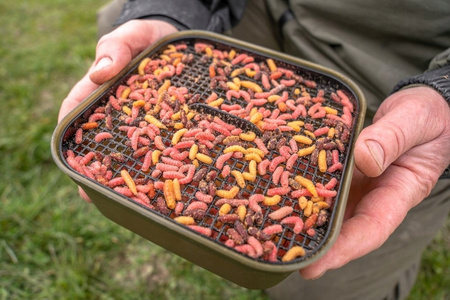 KORUM Pudełko MAGGOT TUB AND RIDDLE 1.2l