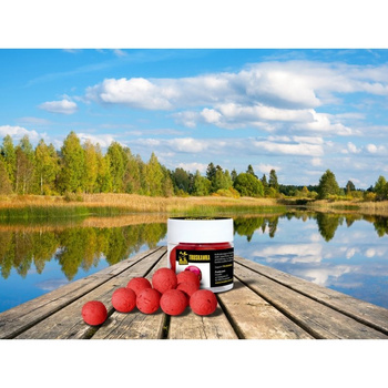 Invader Pop Up TRUSKAWKA