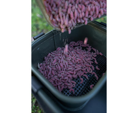 KORUM ZESTAW EVA BAIT STATION