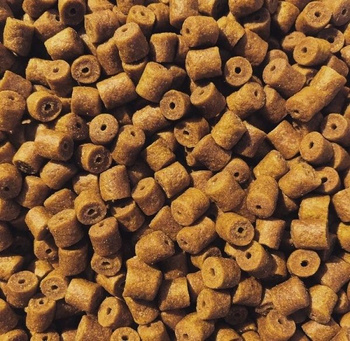 Pellet zanętowy CZOSNEK