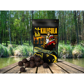 Kulki zanętowe Invader Kaligula SQUID