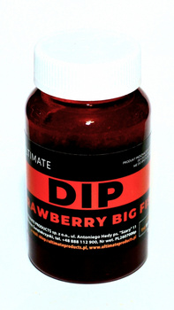 THE ULTIMATE Top Range Dip  STRAWBERRY &amp; BIG FISH
