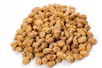 ORZECH TYGRYSI XXL LONG 11-35mm