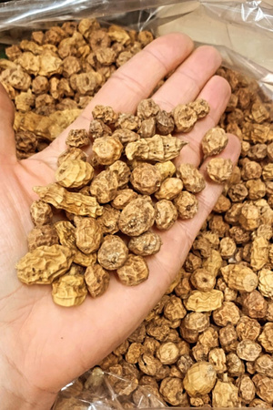 ORZECH TYGRYSI Ziarno Mix 8-35mm 5kg