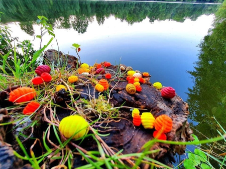 WAFTERS TRUSKAWKA Baton Baits