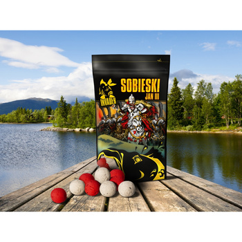 Kulki zanętowe Invader Sobieski MORWA