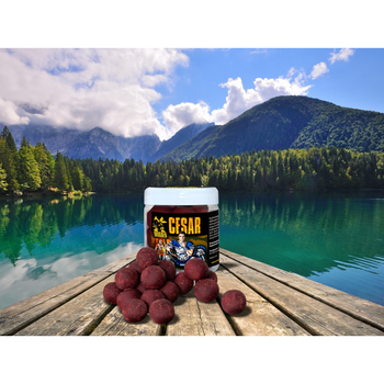 Kulki haczykowe Invader Cesar SQUID PORZECZKA