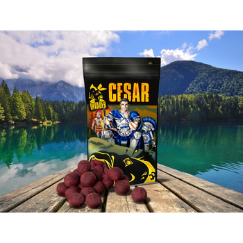 Kulki zanętowe Invader Cesar SQUID - PORZECZKA