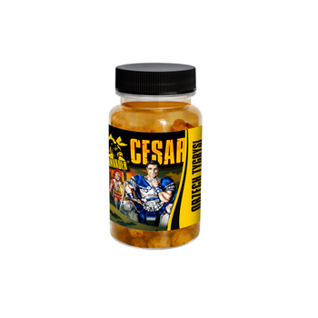  Invader Orzech Tygrysi Cesar Squid/ Porzeczka