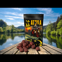 Kulki zanętowe Invader Attyla 